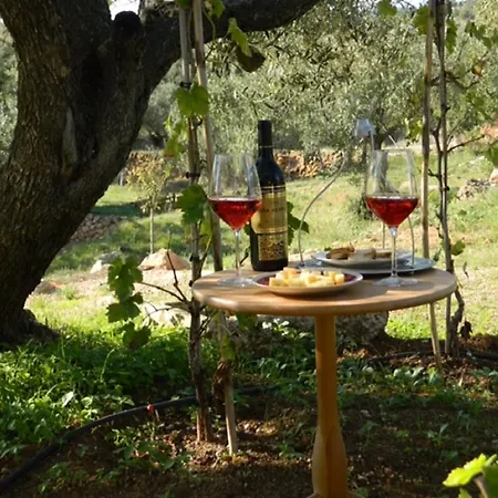 Yurta Mongola Delta Del Ebro 豪华帐篷 卡马尔莱斯
