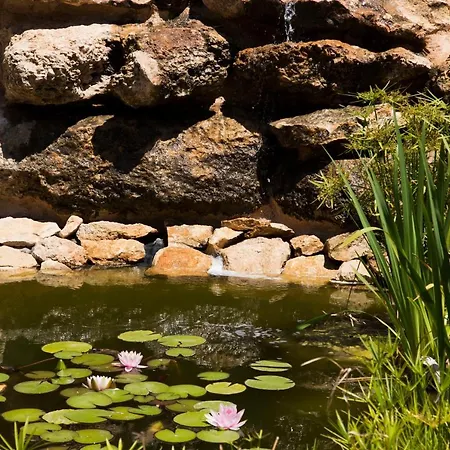 Yurta Mongola Delta Del Ebro 豪华帐篷