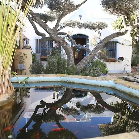 Yurta Mongola Delta Del Ebro 豪华帐篷 *