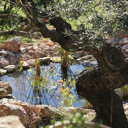 Yurta Mongola Delta Del Ebro 卡马尔莱斯