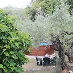 Роскошный шатер Yurta Mongola Delta Del Ebro