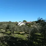 Роскошный шатер Yurta Mongola Delta Del Ebro