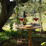 Yurta Mongola Delta Del Ebro Роскошный шатер Camarles