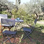 Роскошный шатер Yurta Mongola Delta Del Ebro