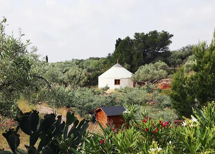 Yurta Mongola Delta Del Ebro 豪华帐篷 *