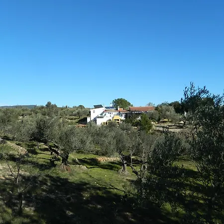 Campo de lujo Yurta Mongola Delta Del Ebro