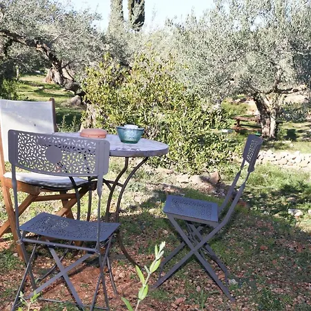 Campo de lujo Yurta Mongola Delta Del Ebro