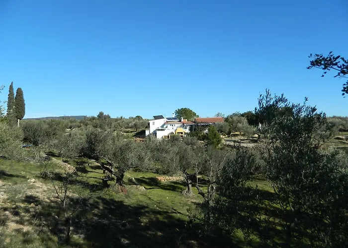 Glamping Yurta Mongola Delta Del Ebro