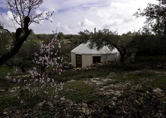Glamping Yurta Mongola Delta Del Ebro