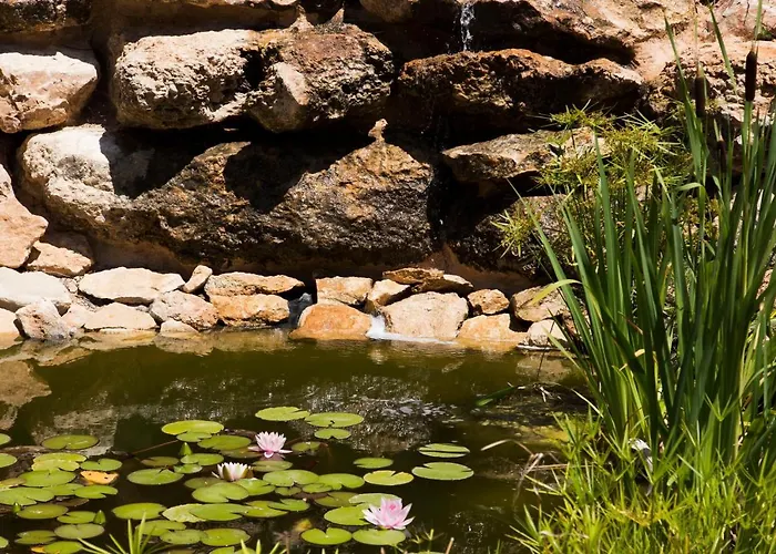 Yurta Mongola Delta Del Ebro Glamping